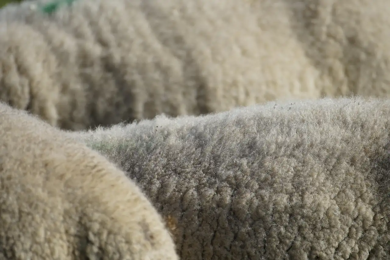 Collant polaire : Confortable, chaud et résistant pour l’hiver