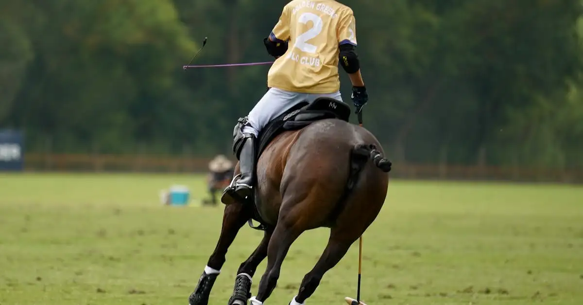 Polo Fred Perry : Style Iconique et Confort