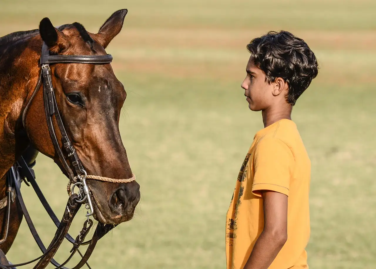 Polo Homme Manche Longue : Style et Confort au Quotidien