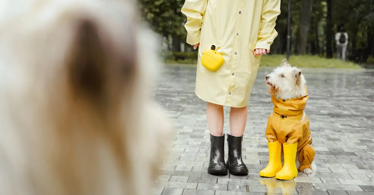 Veste de pluie femme : Trouvez le modèle parfait et